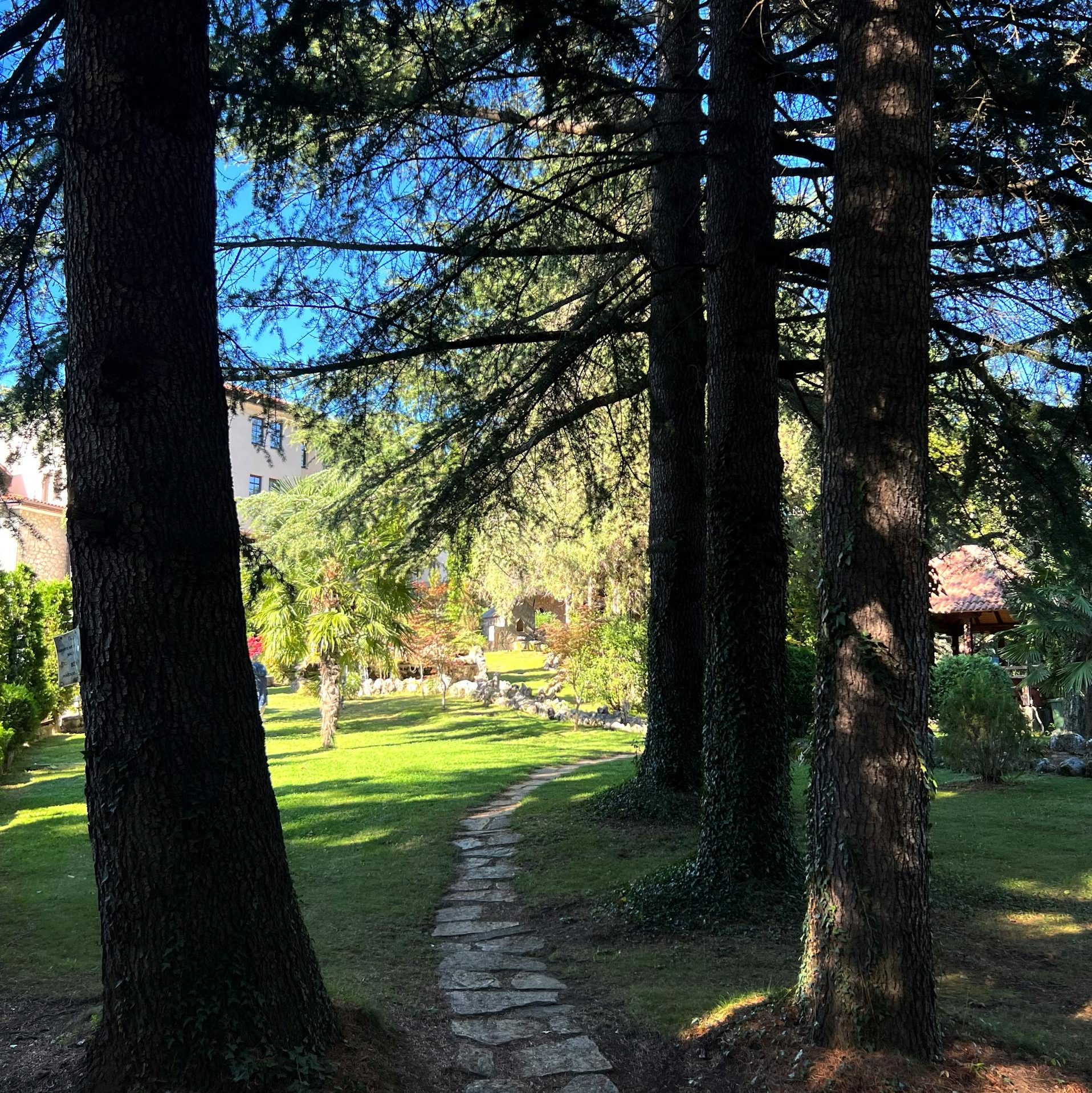 Charming stone path through lush evergreen trees in Ohrid, North Macedonia.